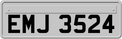 EMJ3524