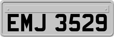 EMJ3529