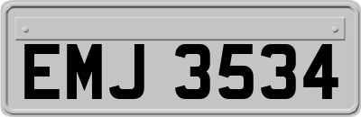 EMJ3534