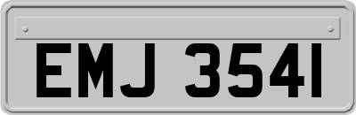 EMJ3541