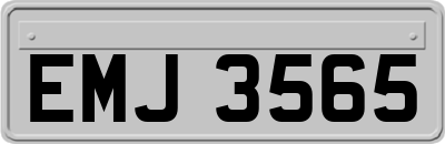 EMJ3565