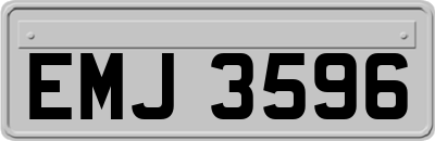 EMJ3596