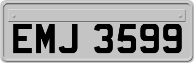 EMJ3599