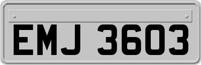 EMJ3603