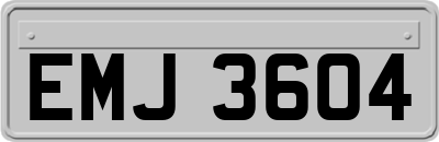 EMJ3604