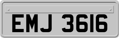EMJ3616