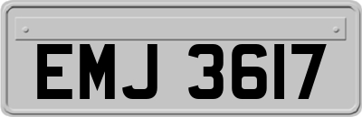 EMJ3617