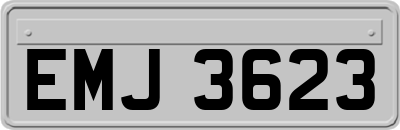 EMJ3623
