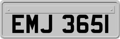 EMJ3651