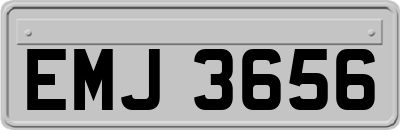 EMJ3656