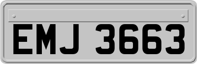 EMJ3663