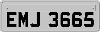 EMJ3665