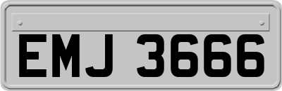 EMJ3666