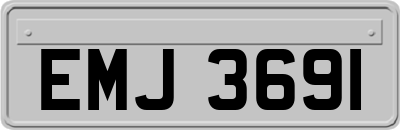 EMJ3691