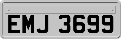 EMJ3699
