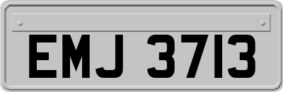 EMJ3713