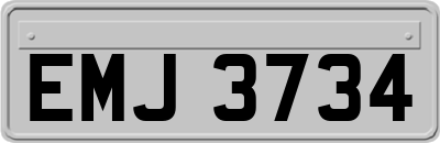 EMJ3734
