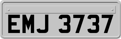 EMJ3737