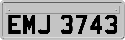 EMJ3743