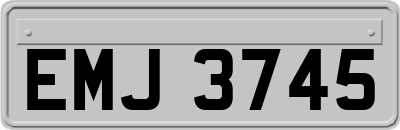 EMJ3745