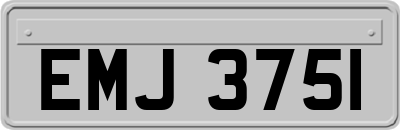 EMJ3751