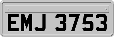 EMJ3753