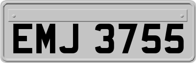 EMJ3755