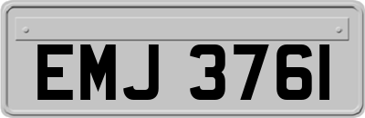 EMJ3761