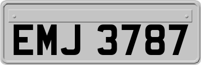 EMJ3787