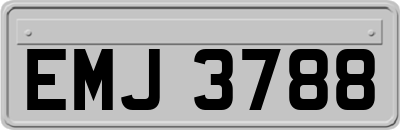 EMJ3788
