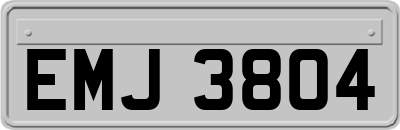 EMJ3804
