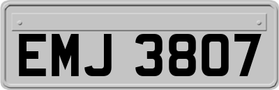 EMJ3807