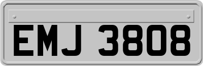 EMJ3808