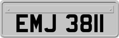 EMJ3811
