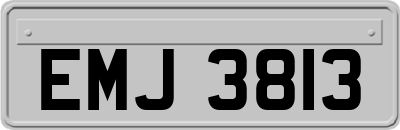 EMJ3813