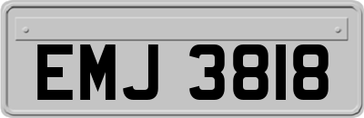 EMJ3818