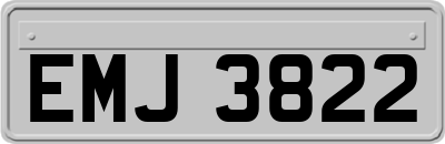 EMJ3822