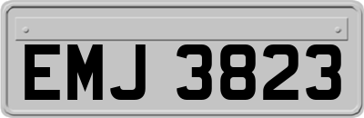 EMJ3823