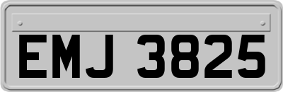 EMJ3825