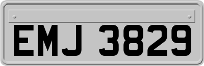 EMJ3829
