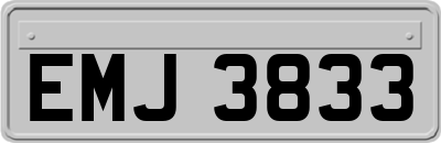 EMJ3833