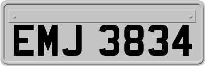 EMJ3834