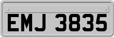 EMJ3835