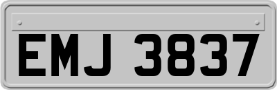 EMJ3837