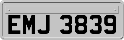 EMJ3839