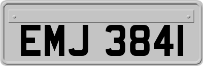 EMJ3841