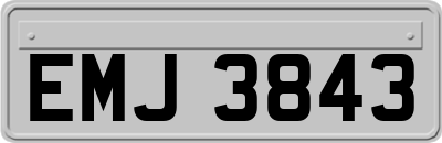 EMJ3843
