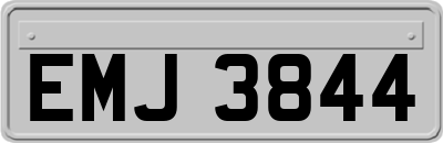 EMJ3844