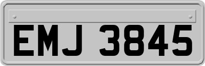 EMJ3845