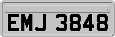 EMJ3848